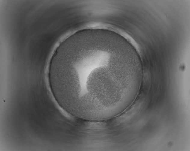 X0000102851429200808251151