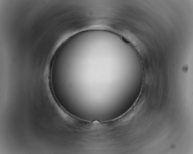 X0000102851430200808251151