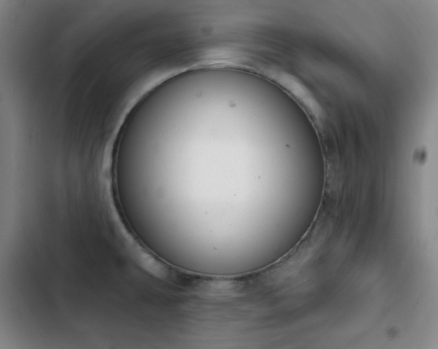 X0000102851431200808251151