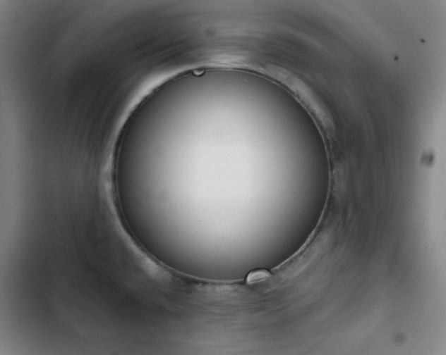 X0000102851432200808251151