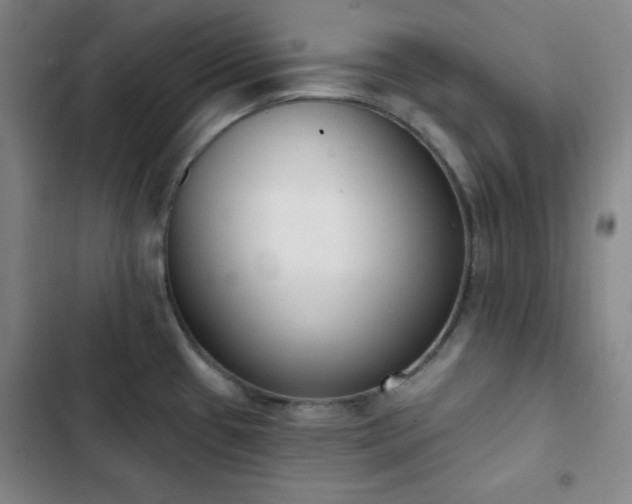 X0000102851433200808251151