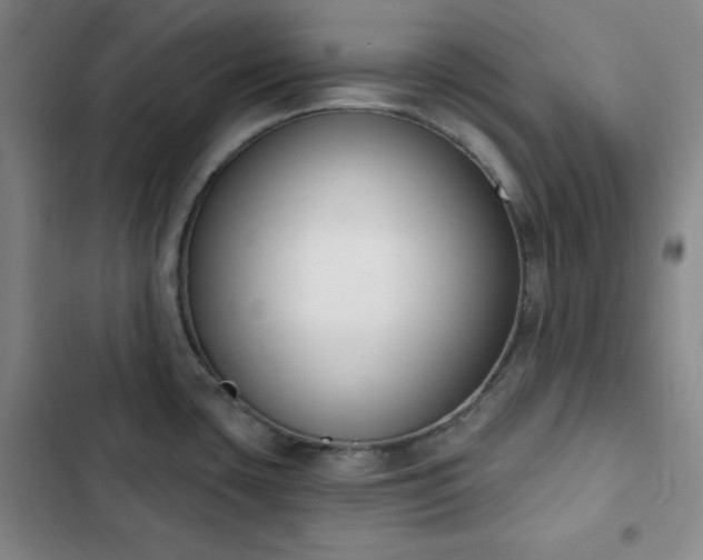 X0000102851435200808251151