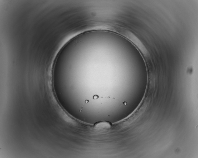 X0000102851436200808251151