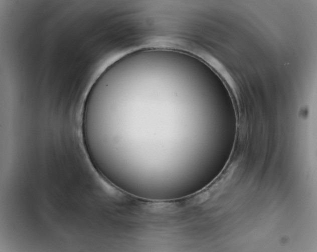 X0000102851437200808251151