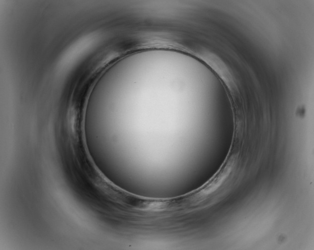 X0000102851438200808251151