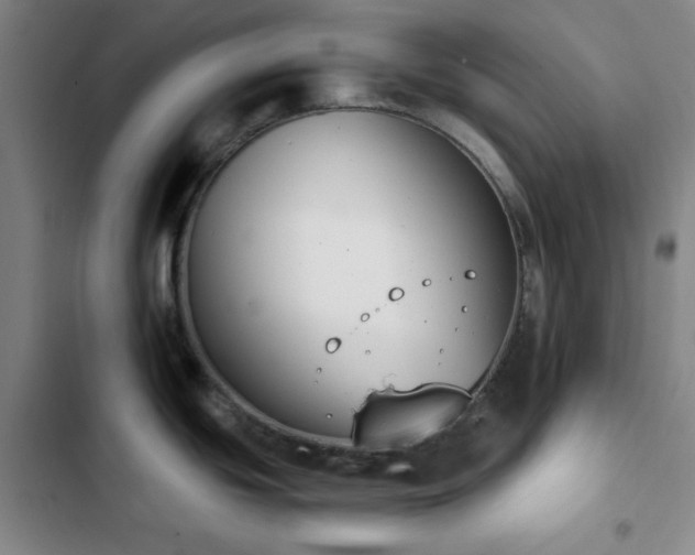 X0000102851439200808251151