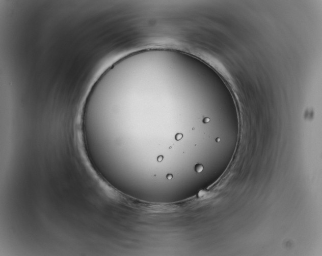 X0000102851440200808251151