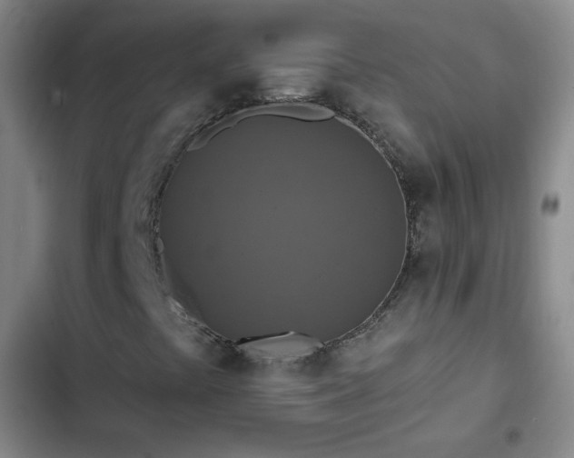X0000102851441200808251151