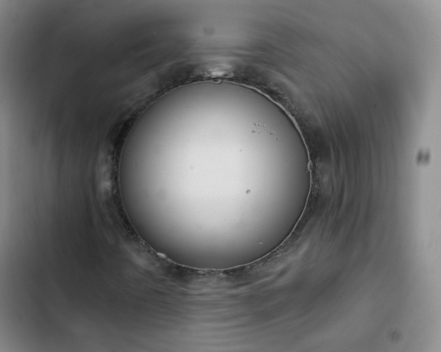 X0000102851442200808251151