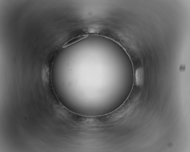 X0000102851443200808251151