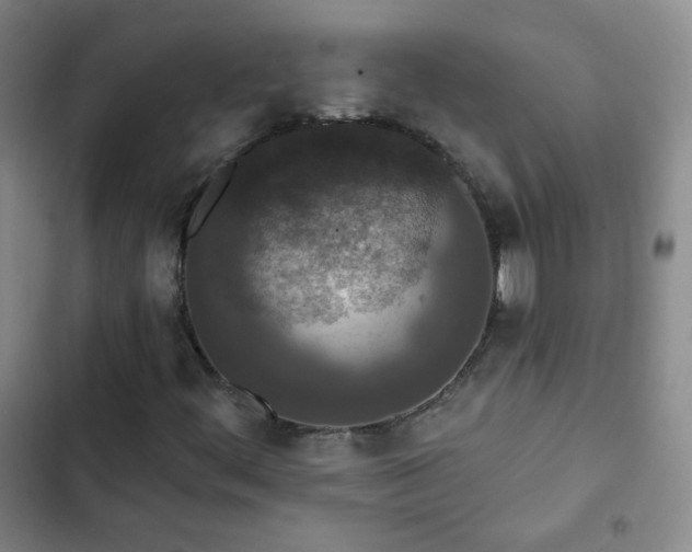X0000102851444200808251151