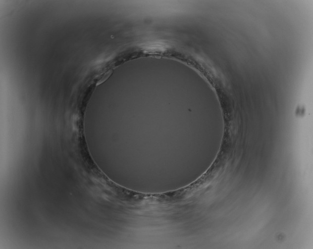 X0000102851445200808251151