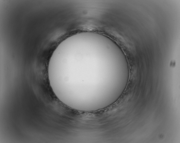 X0000102851446200808251151