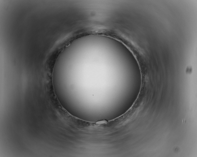 X0000102851447200808251151