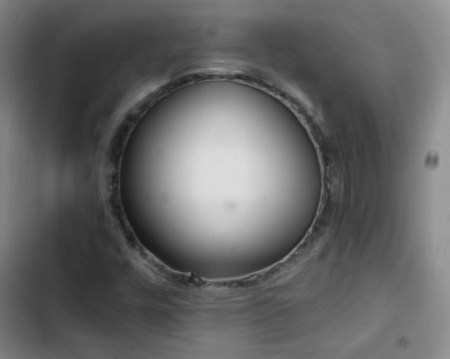 X0000102851448200808251151