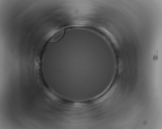 X0000102851449200808251151