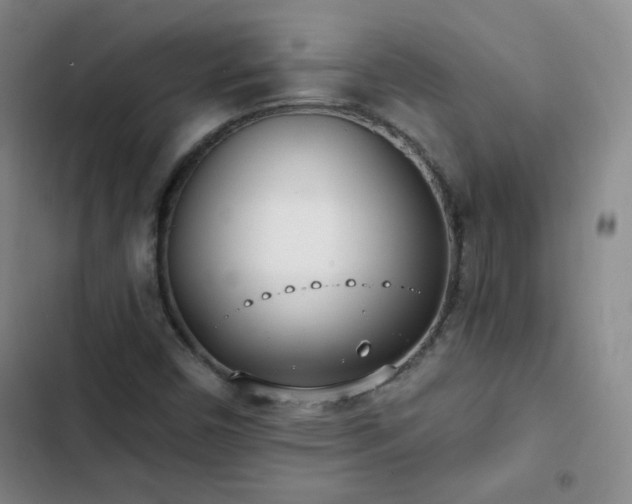 X0000102851450200808251150