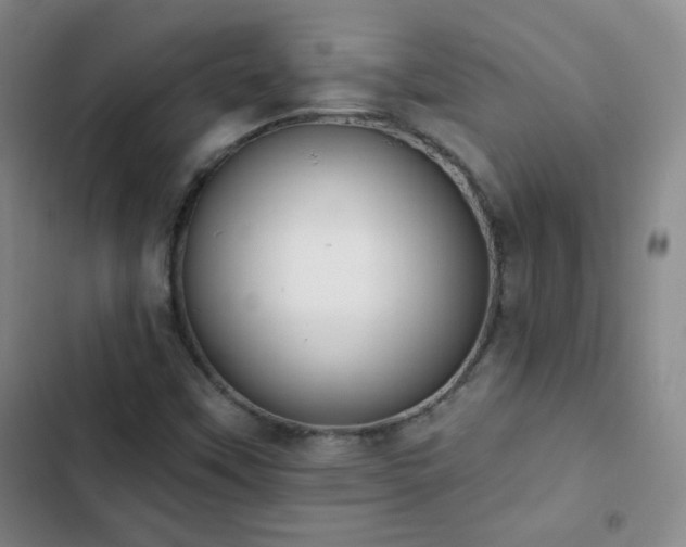X0000102851451200808251150