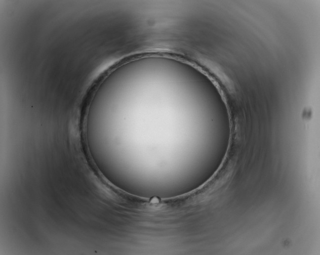 X0000102851452200808251150
