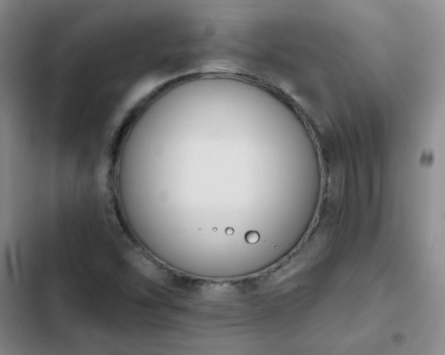 X0000102851454200808251150