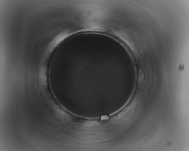 X0000102851455200808251150