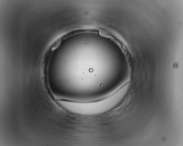 X0000102851456200808251150