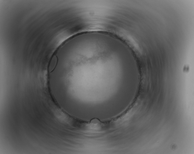 X0000102851457200808251150