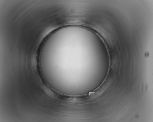 X0000102851458200808251150
