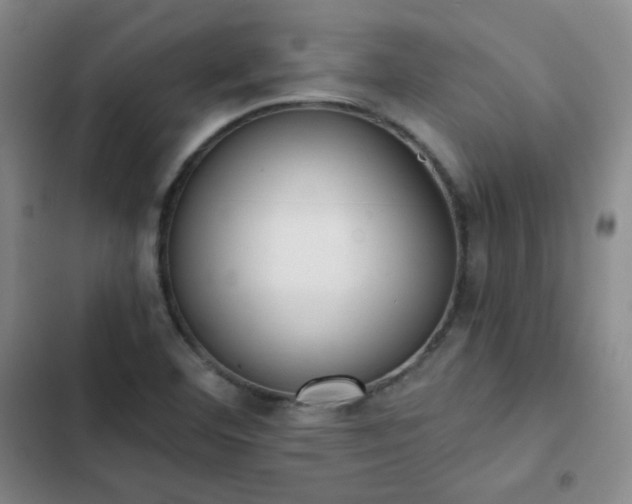 X0000102851460200808251150
