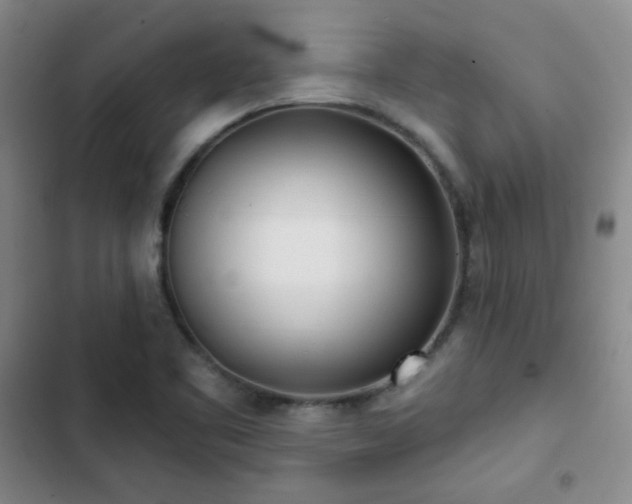 X0000102851461200808251150