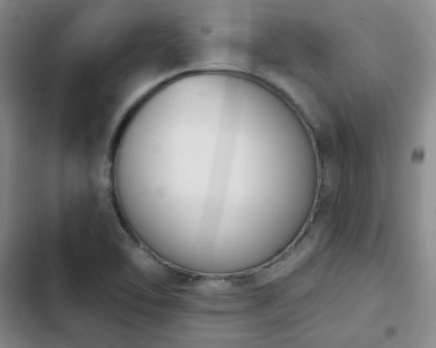 X0000102851462200808251150