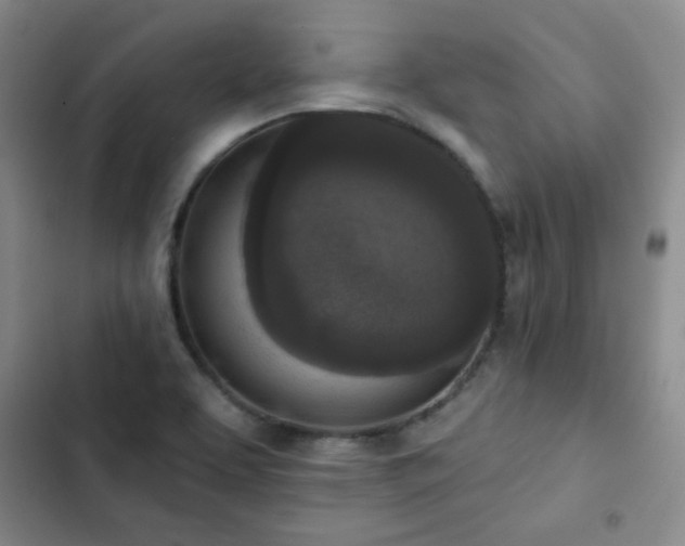 X0000102851463200808251150