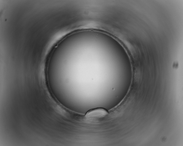 X0000102851464200808251150