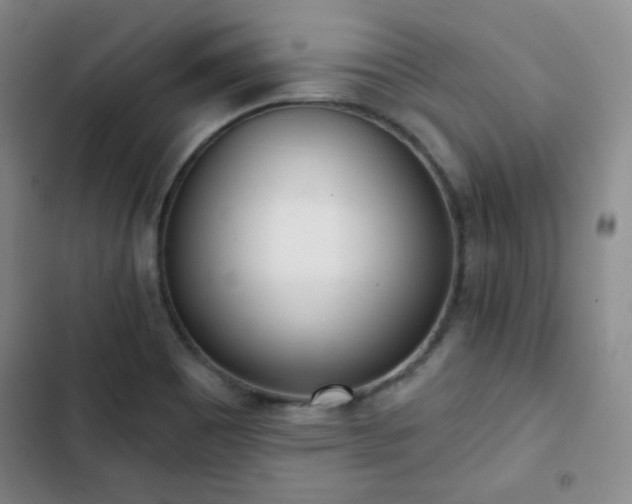 X0000102851465200808251150
