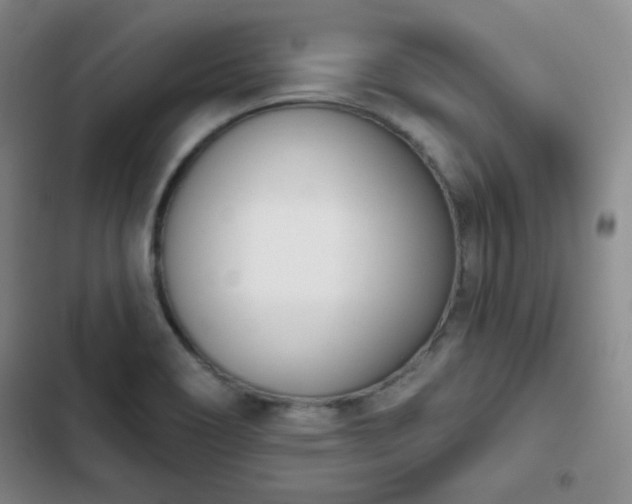 X0000102851466200808251150