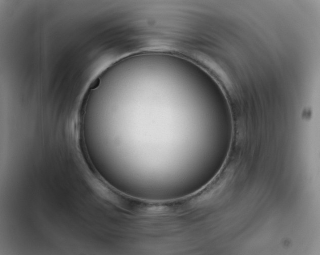 X0000102851467200808251150