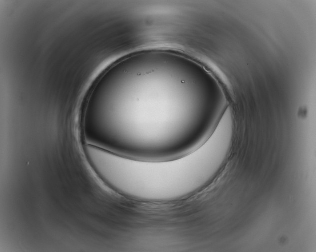 X0000102851468200808251150