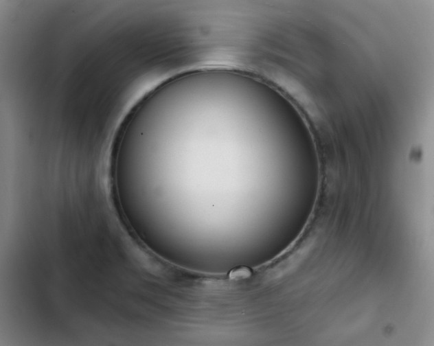 X0000102851469200808251150