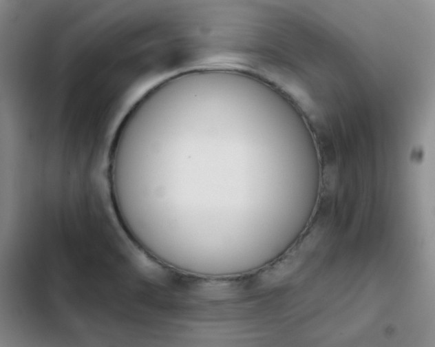 X0000102851470200808251150