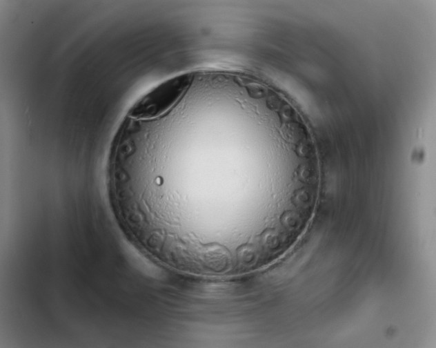X0000102851471200808251150