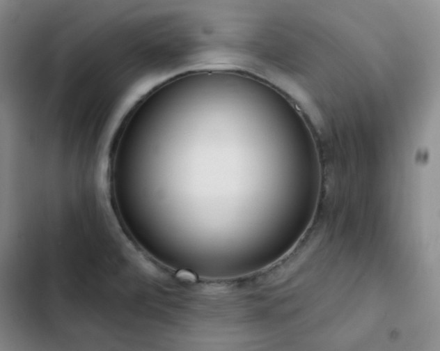 X0000102851472200808251150