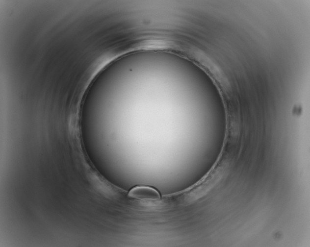 X0000102851473200808251150
