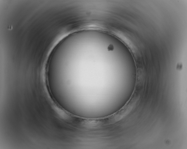 X0000102851474200808251150
