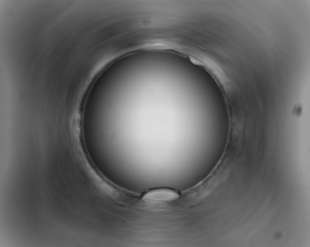 X0000102851476200808251150