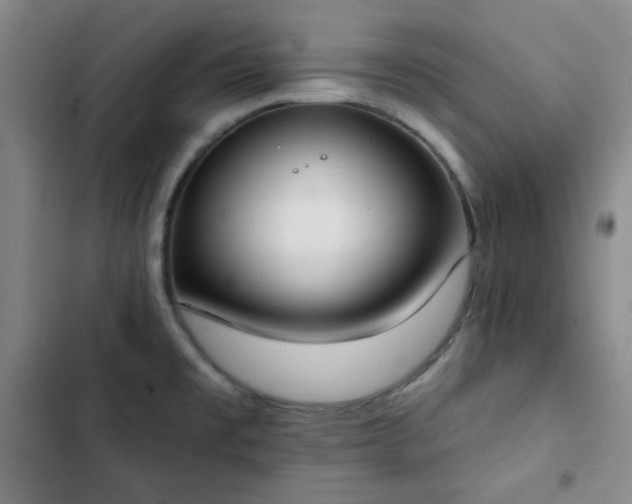 X0000102851477200808251150