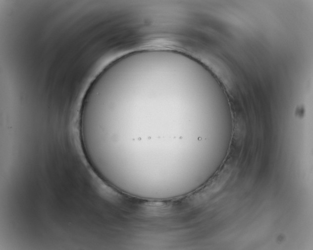 X0000102851478200808251150