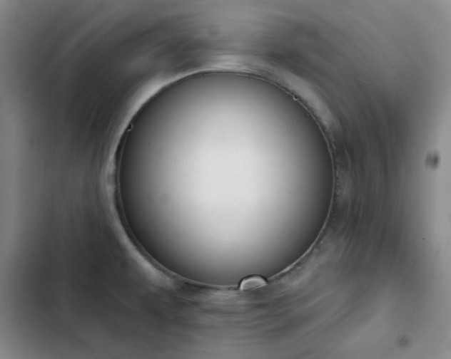 X0000102851479200808251150