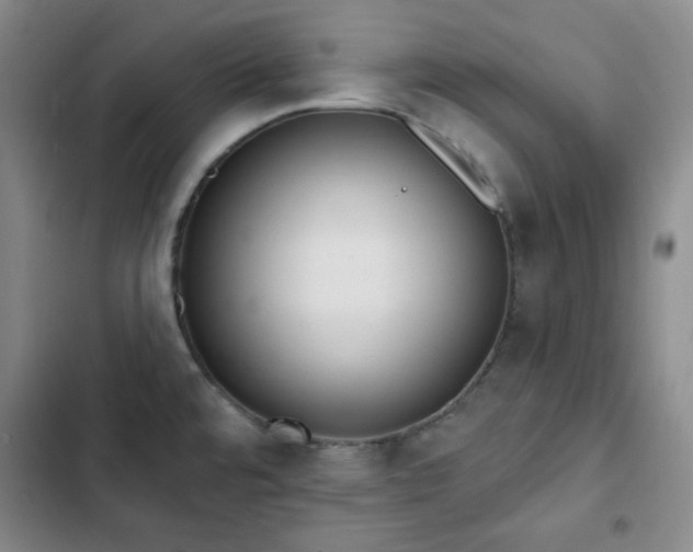 X0000102851480200808251150