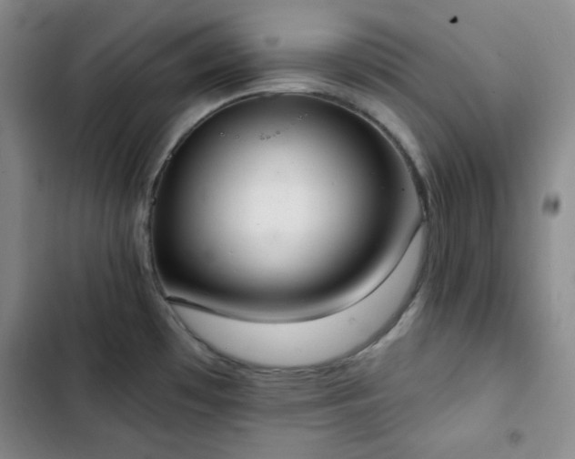 X0000102851481200808251150