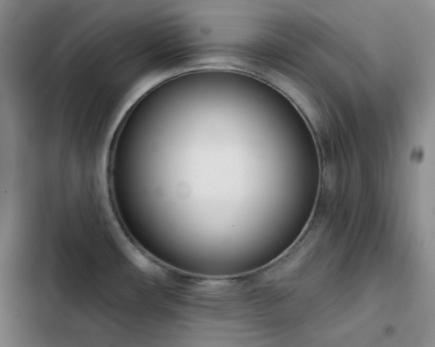 X0000102851482200808251150